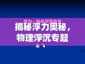 揭秘浮力奥秘，物理浮沉专题研究深度探索