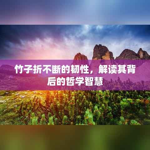 竹子折不断的韧性，解读其背后的哲学智慧