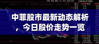 雍容华贵 第2页