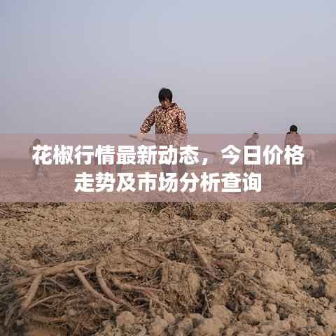 一往无前 第2页