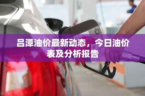 腾龙换鸟 第2页