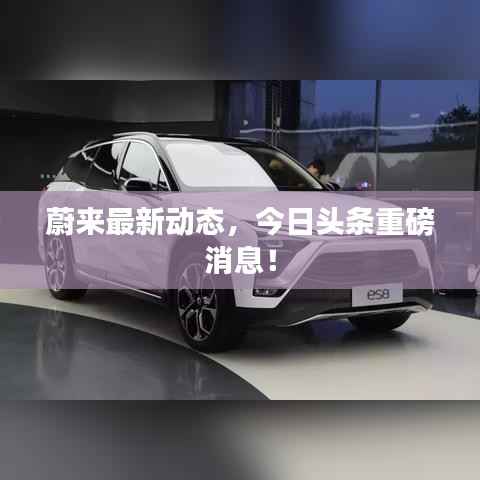 笼鸟槛猿 第2页