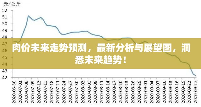 肉价未来走势预测，最新分析与展望图，洞悉未来趋势！