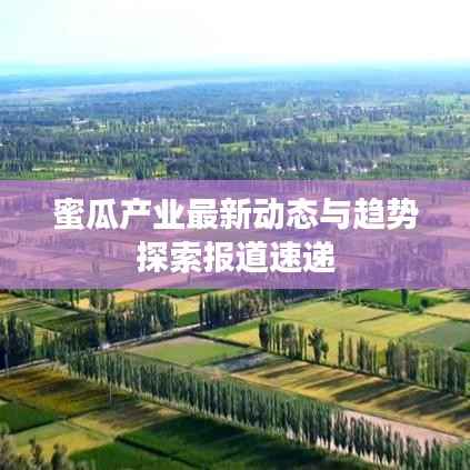 蜜瓜产业最新动态与趋势探索报道速递