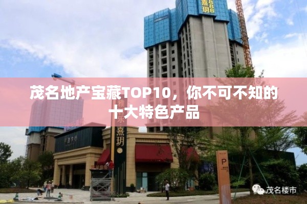 茂名地产宝藏TOP10,你不可不知的十大特色产品