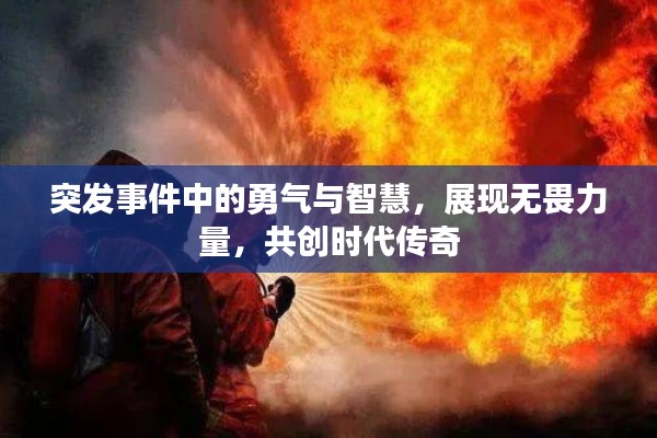 突发事件中的勇气与智慧,展现无畏力量,共创时代传奇