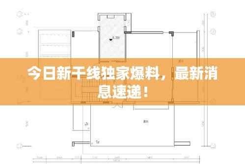 今日新干线独家爆料,最新消息速递!