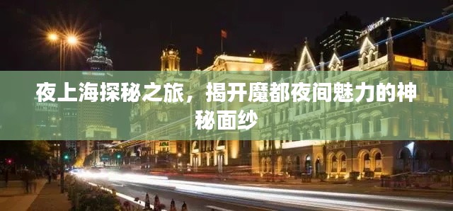 夜上海探秘之旅，揭开魔都夜间魅力的神秘面纱