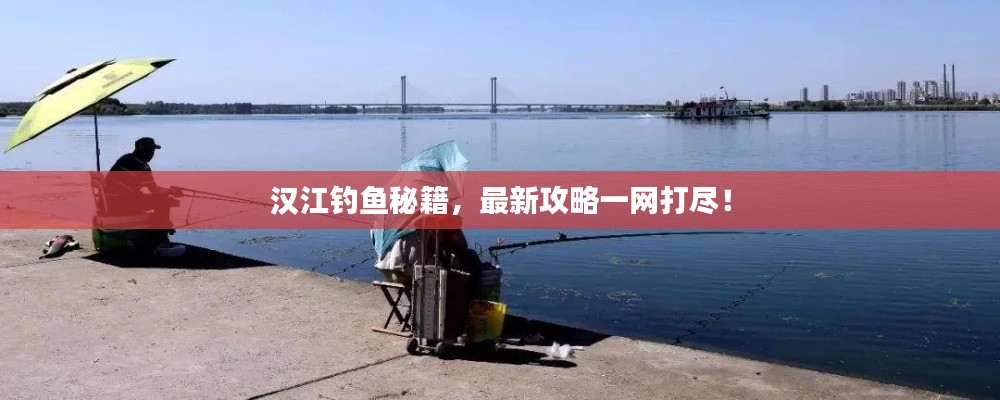 汉江钓鱼秘籍，最新攻略一网打尽！
