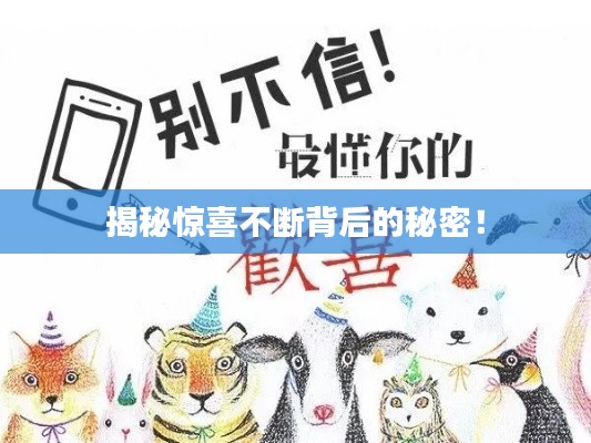 揭秘惊喜不断背后的秘密!