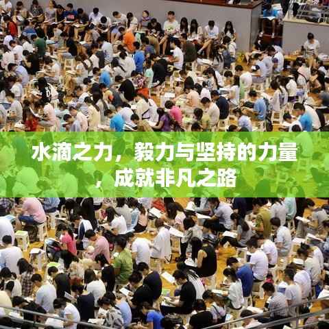 水滴之力，毅力与坚持的力量，成就非凡之路