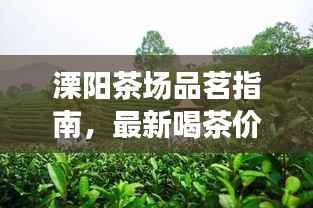 溧阳茶场品茗指南，最新喝茶价格表揭秘