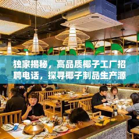 独家揭秘，高品质椰子工厂招聘电话，探寻椰子制品生产源头之旅！