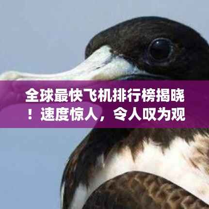 全球最快飞机排行榜揭晓！速度惊人，令人叹为观止！