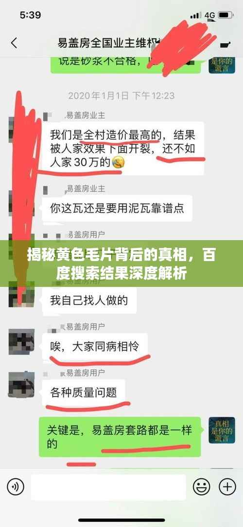 揭秘黄色毛片背后的真相，百度搜索结果深度解析