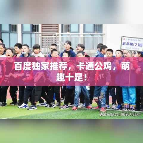 百度独家推荐，卡通公鸡，萌趣十足！