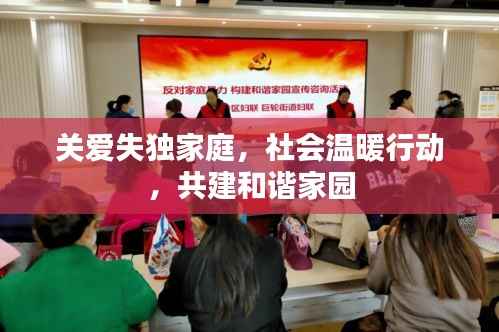 关爱失独家庭，社会温暖行动，共建和谐家园