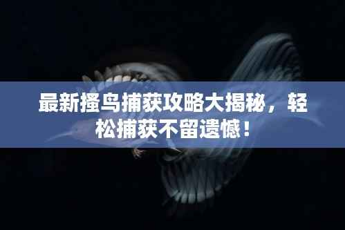 飞箭如蝗 第2页