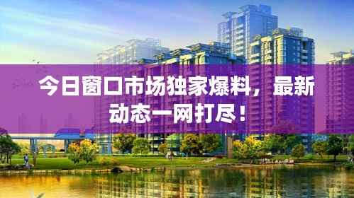 今日窗口市场独家爆料，最新动态一网打尽！
