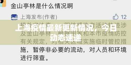 上海疫情最新更新情况，今日动态速递