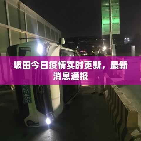 林下风气 第2页