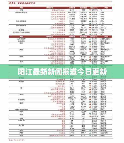 阳江最新新闻报道今日更新