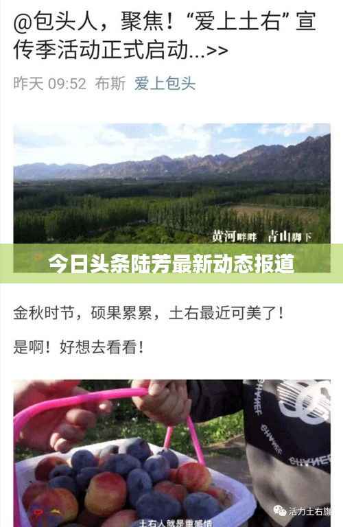 今日头条陆芳最新动态报道