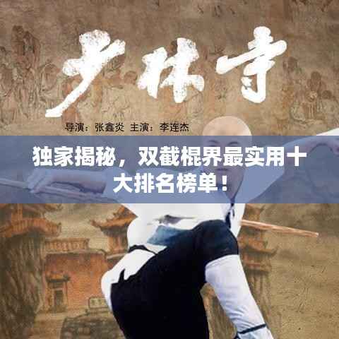 独家揭秘，双截棍界最实用十大排名榜单！