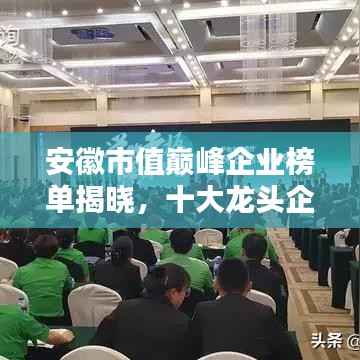 安徽市值巅峰企业榜单揭晓,十大龙头企业排名出炉!
