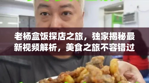 老杨盒饭探店之旅，独家揭秘最新视频解析，美食之旅不容错过！
