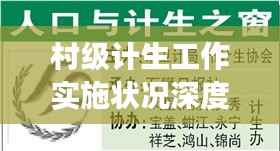 村级计生工作实施状况深度解析,成效与挑战并存