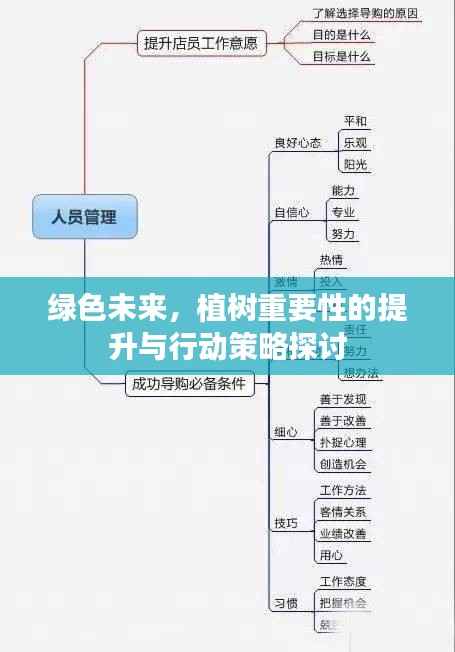 绿色未来，植树重要性的提升与行动策略探讨