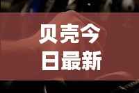 贝壳今日最新咨询动态速递