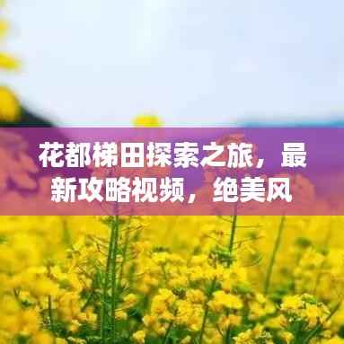 花都梯田探索之旅，最新攻略视频，绝美风光一览