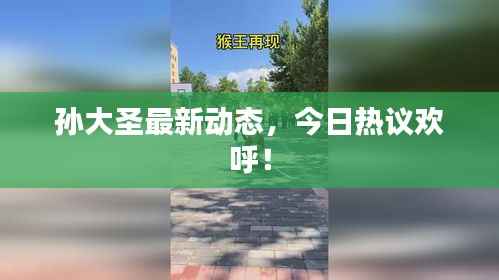 孙大圣最新动态,今日热议欢呼!