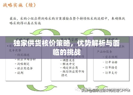 独家供货核价策略,优势解析与面临的挑战