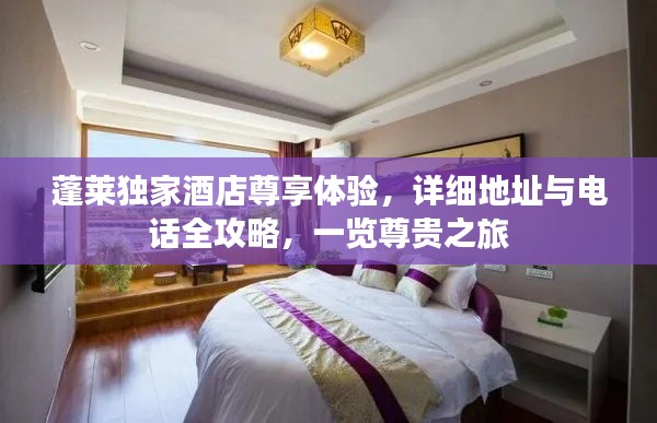 蓬莱独家酒店尊享体验，详细地址与电话全攻略，一览尊贵之旅