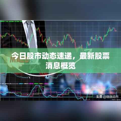 今日股市动态速递，最新股票消息概览