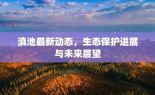 滇池最新动态，生态保护进展与未来展望