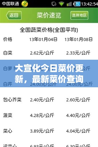 大宣化今日菜价更新，最新菜价查询报告出炉！
