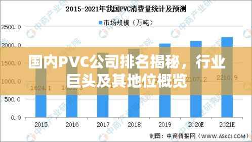 国内PVC公司排名揭秘,行业巨头及其地位概览